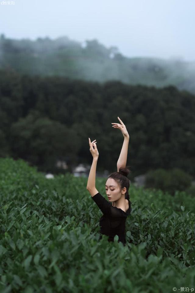 山间茶园的舞者，少女身材婀娜，舞姿曼妙，舞进了我心里